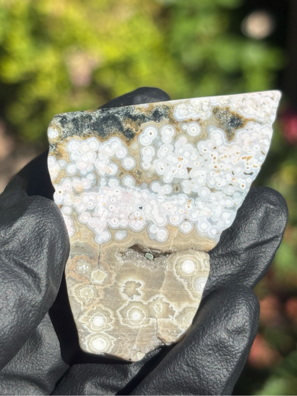Ocean Jasper Crystal Slab - Polished Sea Jasper - Orbicular Jasper
